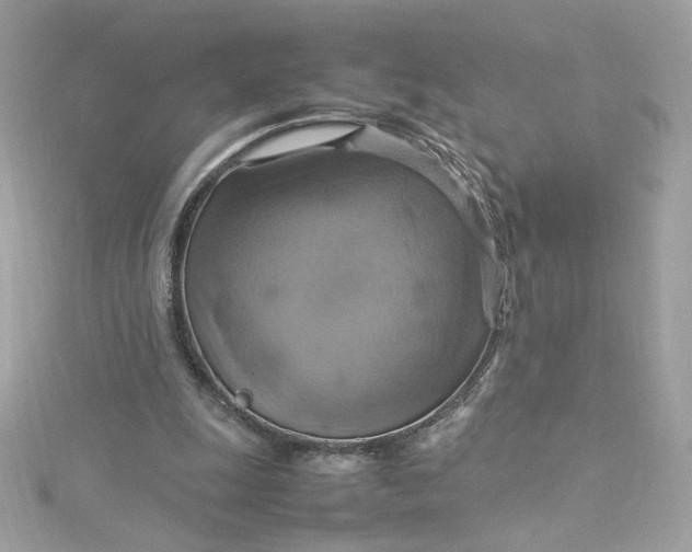 X0000115560247200911201828