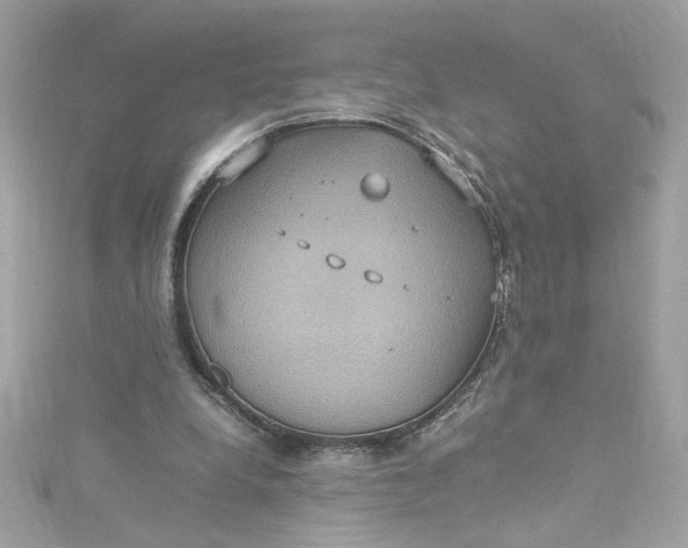 X0000115560248200911201828