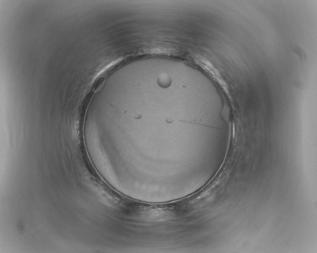 X0000115560249200911201828