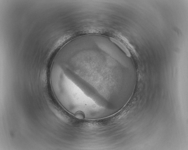 X0000115560250200911201828