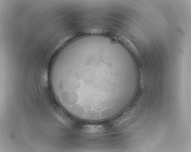 X0000115560251200911201828