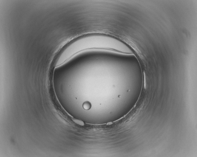 X0000115560252200911201828