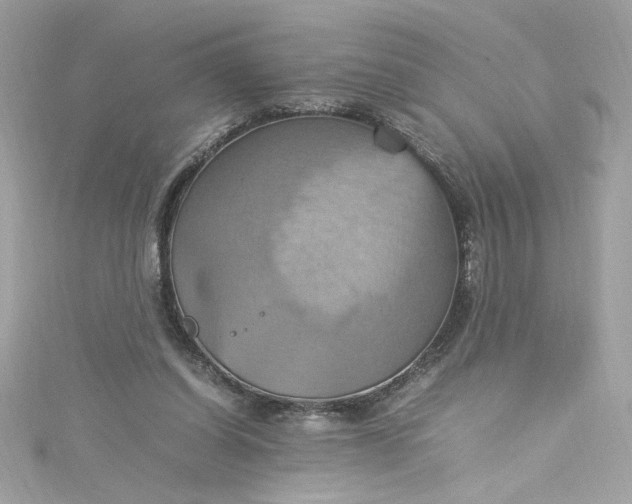 X0000115560254200911201828