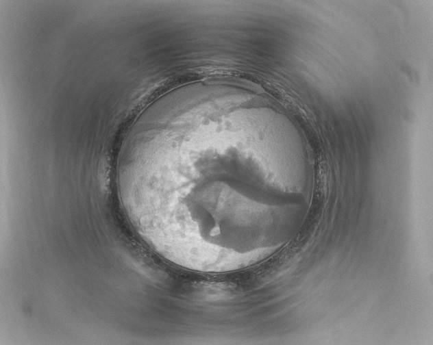 X0000115560255200911201828