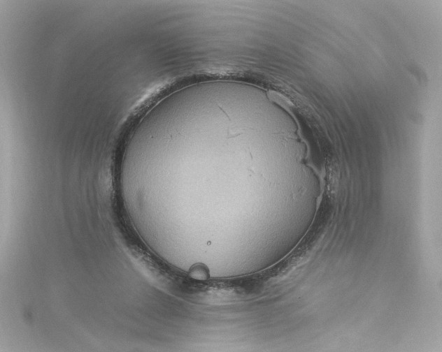 X0000115560256200911201828