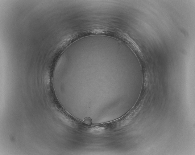 X0000115560257200911201828