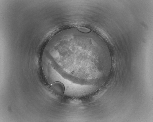 X0000115560258200911201828