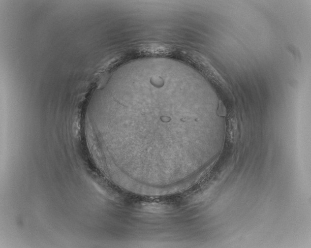 X0000115560259200911201828