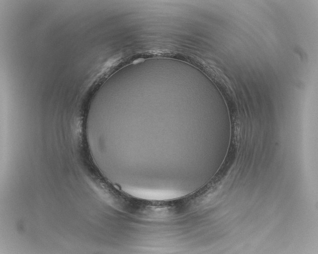 X0000115560260200911201828