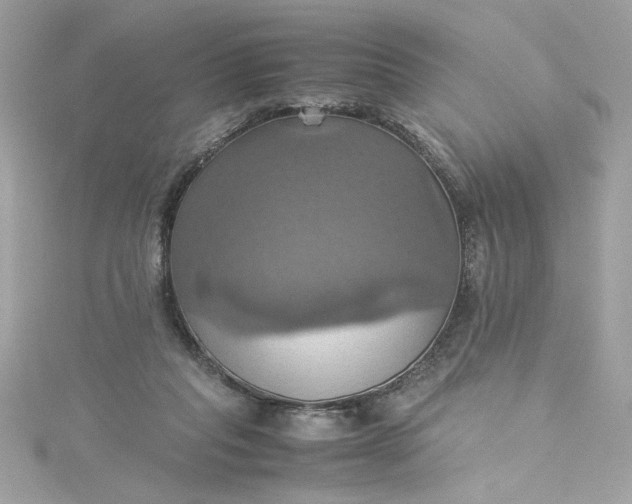 X0000115560261200911201828