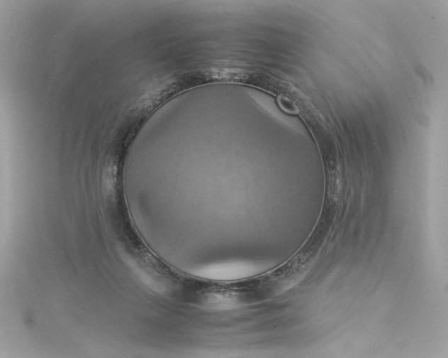 X0000115560263200911201828