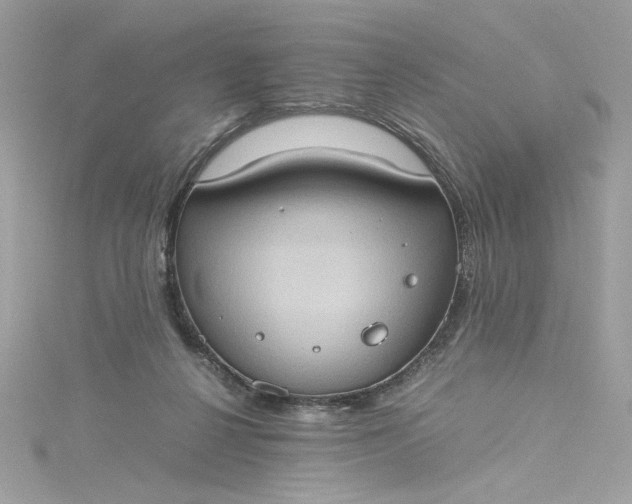 X0000115560264200911201828