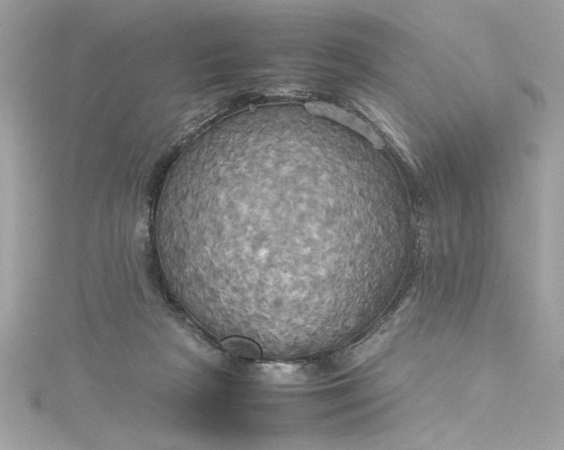 X0000115560265200911201828