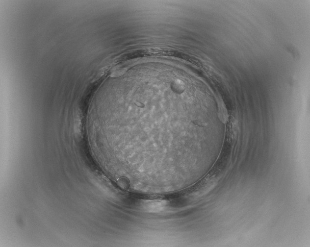 X0000115560266200911201828