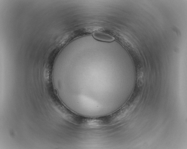 X0000115560268200911201828