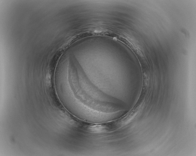 X0000115560269200911201828