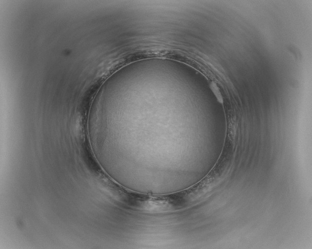 X0000115560270200911201828