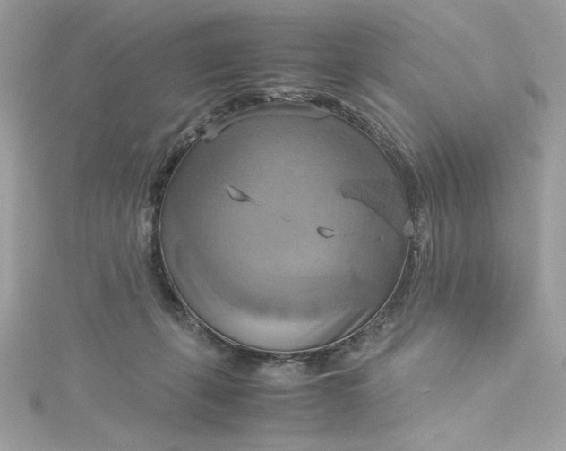 X0000115560271200911201828