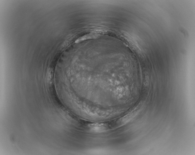 X0000115560273200911201828