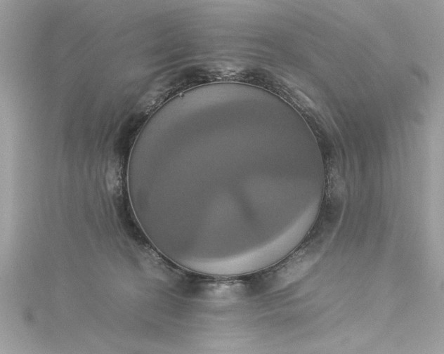 X0000115560274200911201828