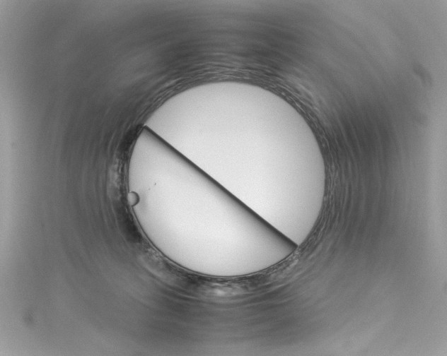 X0000115560275200911201828