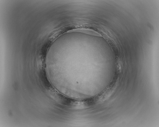 X0000115560276200911201828