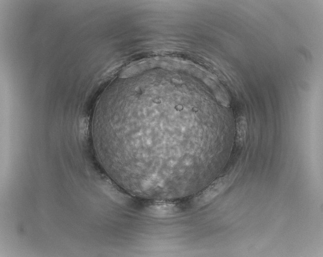 X0000115560278200911201828