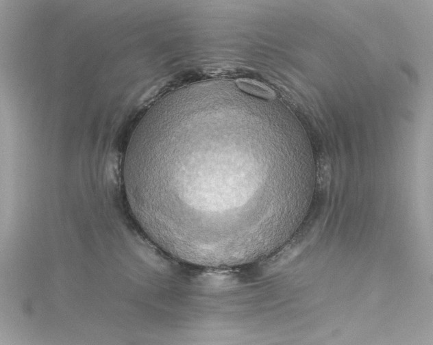 X0000115560280200911201829