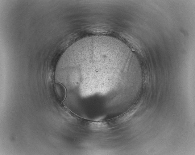 X0000115560281200911201829