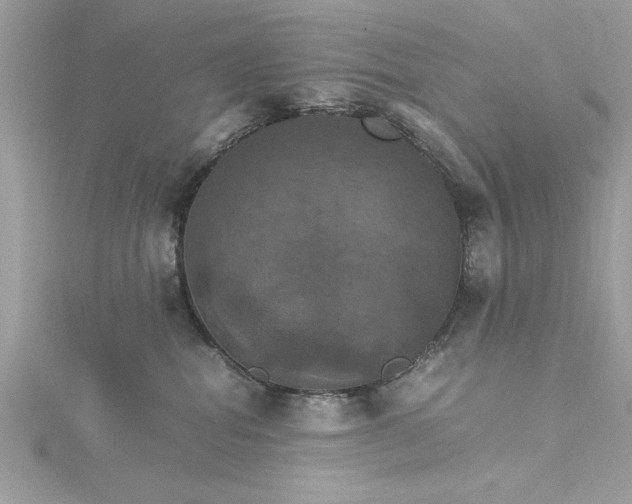 X0000115560282200911201829