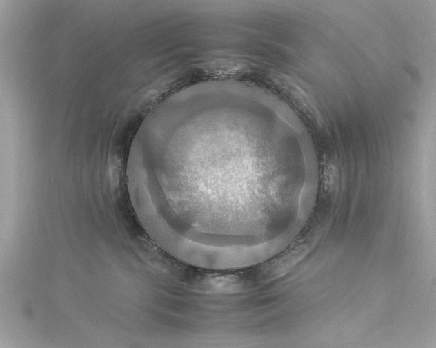 X0000115560283200911201829