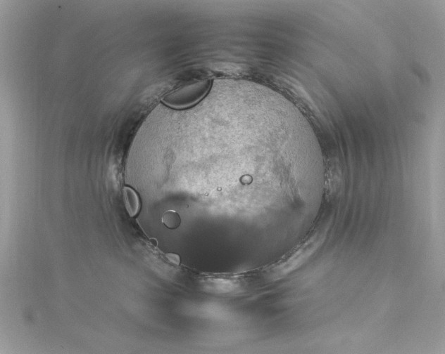 X0000115560285200911201829