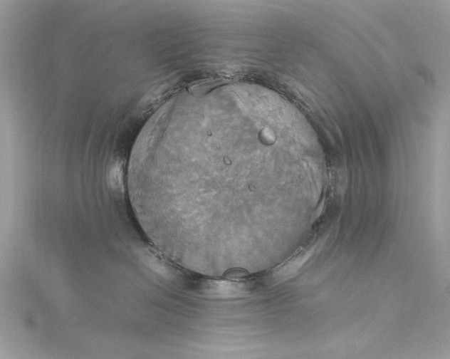 X0000115560286200911201829