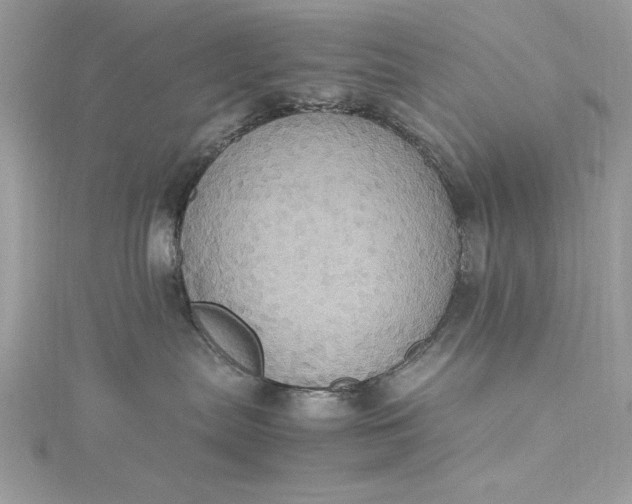 X0000115560287200911201829