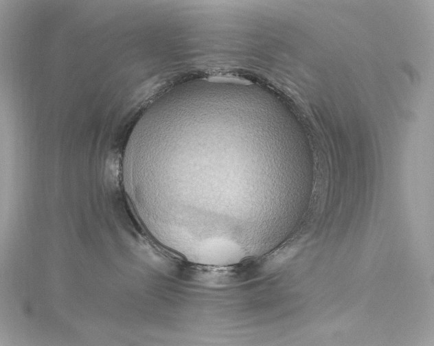 X0000115560288200911201829