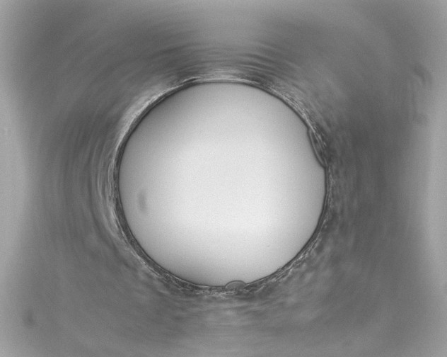 X0000115560289200911201828