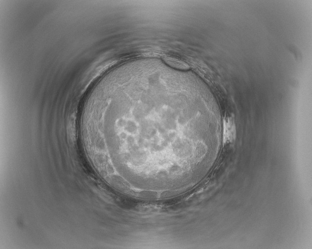 X0000115560291200911201828