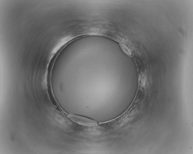 X0000115560292200911201828