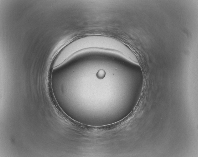 X0000115560293200911201828