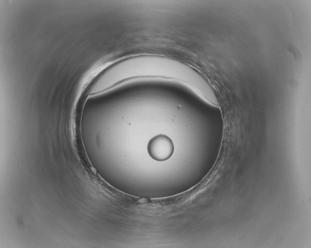 X0000115560294200911201828