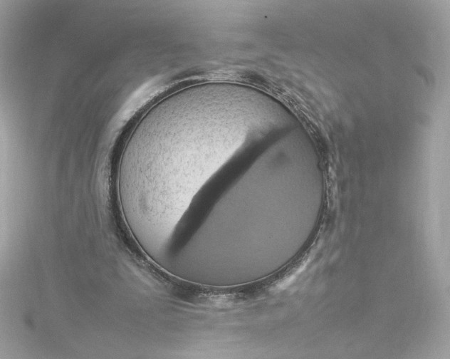 X0000115560295200911201828