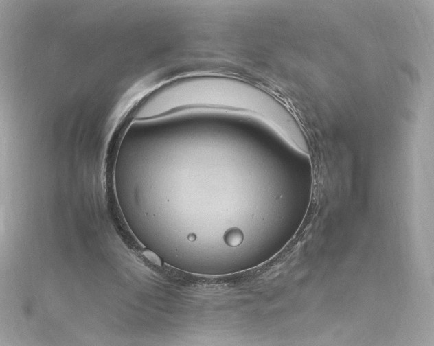 X0000115560296200911201828