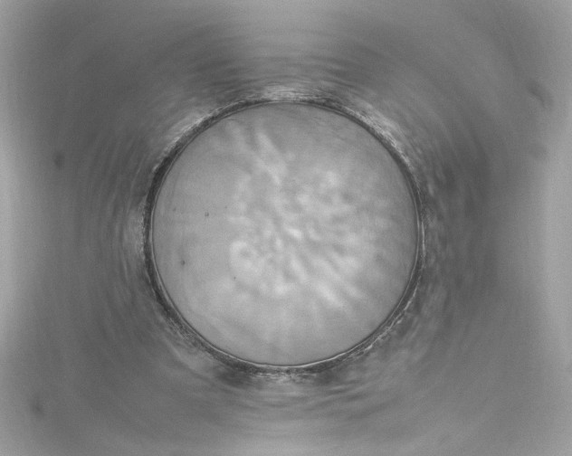 X0000115560297200911201828