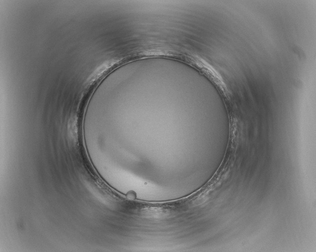 X0000115560298200911201828