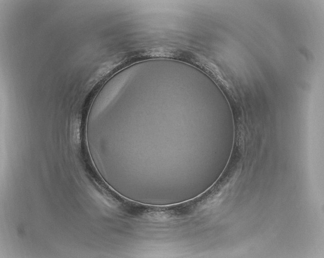 X0000115560299200911201828