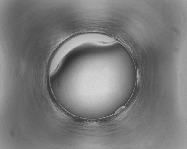 X0000115560301200911201828