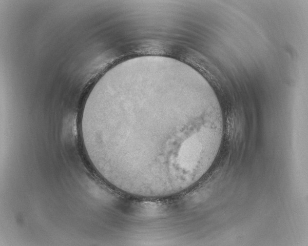 X0000115560302200911201828