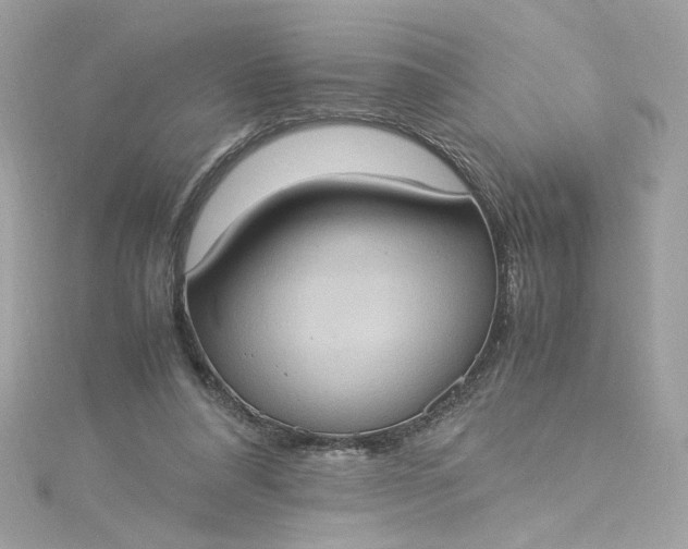 X0000115560304200911201828