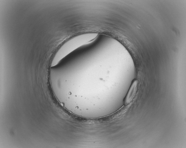 X0000115560305200911201828