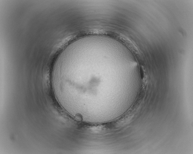 X0000115560306200911201828